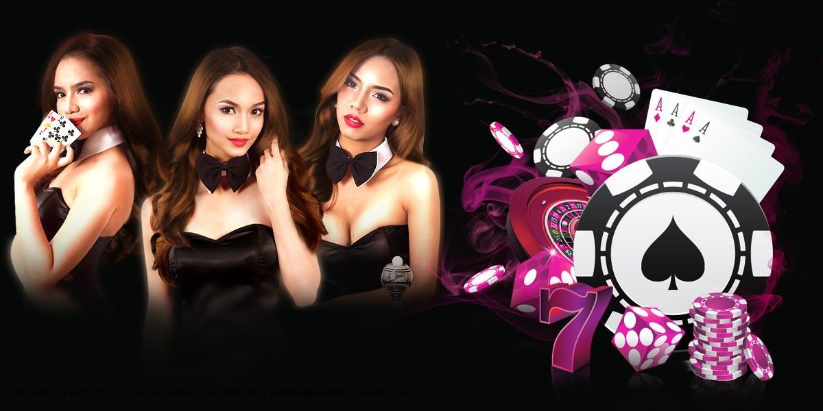 Divine Academy Casino Live Betting